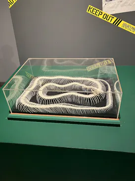特別展「超危険生物展　科学で挑む生き物の本気」に投稿された画像（2026/6/14）