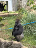 千葉市動物公園に投稿された画像（2026/6/14）