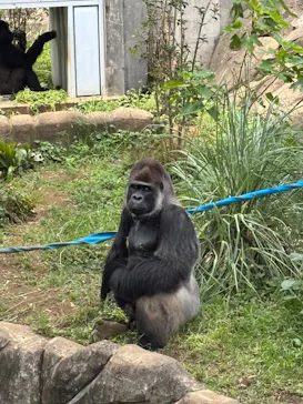 千葉市動物公園に投稿された画像（2026/6/14）