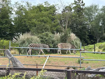 千葉市動物公園に投稿された画像（2026/6/14）