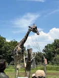 天王寺動物園に投稿された画像（2026/6/14）