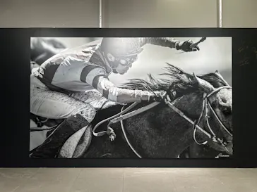 武豊 デビュー40年 ～前人未到の記録～　（銀座三越）に投稿された画像（2026/6/14）
