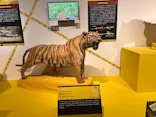 特別展「超危険生物展　科学で挑む生き物の本気」に投稿された画像（2026/6/14）