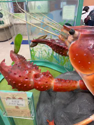 滋賀県立琵琶湖博物館に投稿された画像（2026/6/14）