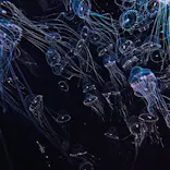 仙台うみの杜水族館に投稿された画像（2026/6/14）