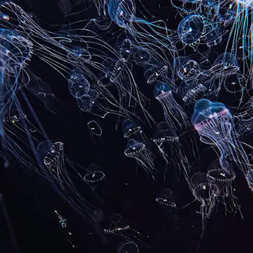 仙台うみの杜水族館に投稿された画像（2026/6/14）