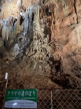 秋芳洞に投稿された画像（2026/6/14）