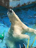 天王寺動物園に投稿された画像（2026/6/14）