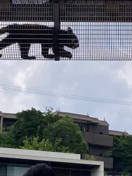 名古屋市東山動植物園に投稿された画像（2026/6/14）