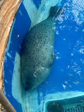 名古屋市東山動植物園に投稿された画像（2026/6/14）