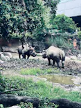 天王寺動物園に投稿された画像（2026/6/14）
