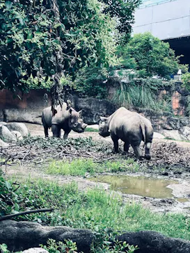 天王寺動物園に投稿された画像（2026/6/14）