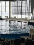 アクアワールド茨城県大洗水族館に投稿された画像（2026/6/14）