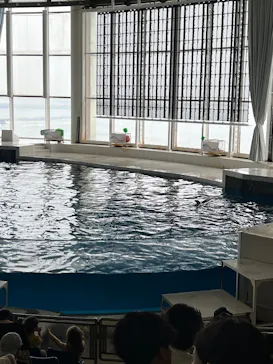 アクアワールド茨城県大洗水族館に投稿された画像（2026/6/14）
