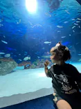 サンシャイン水族館に投稿された画像（2026/6/14）