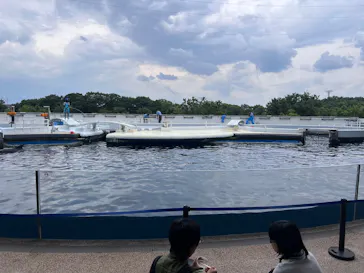 京都水族館に投稿された画像（2026/6/14）