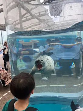 京都水族館に投稿された画像（2026/6/14）