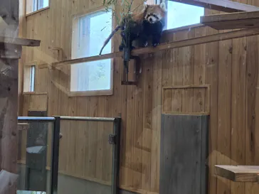名古屋市東山動植物園に投稿された画像（2026/6/14）