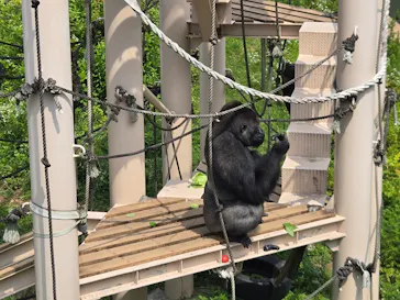 名古屋市東山動植物園に投稿された画像（2026/6/14）