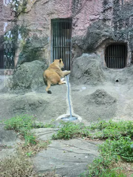 名古屋市東山動植物園に投稿された画像（2026/6/14）