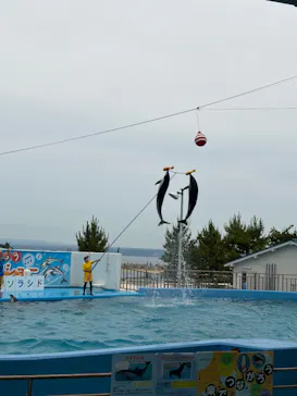 のとじま水族館に投稿された画像（2026/6/14）