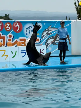 のとじま水族館に投稿された画像（2026/6/14）