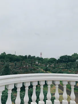 京成バラ園に投稿された画像（2026/6/14）