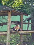 千葉市動物公園に投稿された画像（2026/6/14）
