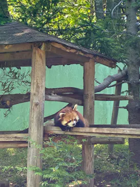 千葉市動物公園に投稿された画像（2026/6/14）