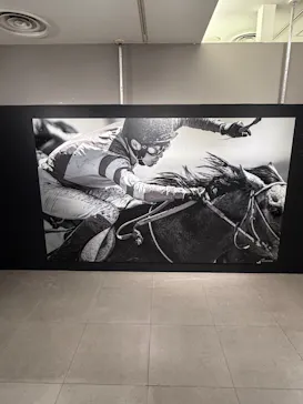 武豊 デビュー40年 ～前人未到の記録～　（銀座三越）に投稿された画像（2026/6/14）