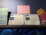 竹島水族館に投稿された画像（2026/6/14）