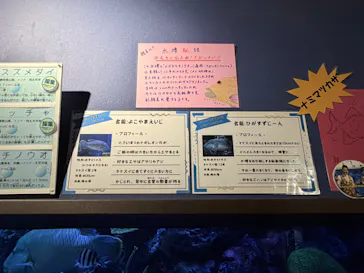 竹島水族館に投稿された画像（2026/6/14）
