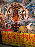 特別展「超危険生物展　科学で挑む生き物の本気」に投稿された画像（2026/6/14）