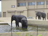 天王寺動物園に投稿された画像（2026/6/14）