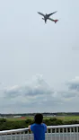 航空科学博物館に投稿された画像（2026/6/14）