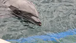 京都水族館に投稿された画像（2026/6/14）