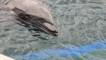 京都水族館に投稿された画像（2026/6/14）