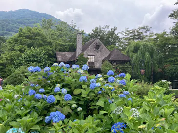 箱根ガラスの森美術館に投稿された画像（2026/6/14）