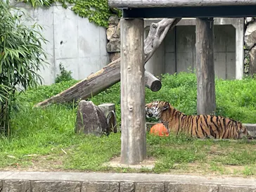天王寺動物園に投稿された画像（2026/6/14）
