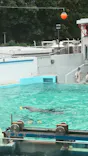 しながわ水族館に投稿された画像（2026/6/14）