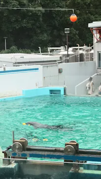 しながわ水族館に投稿された画像（2026/6/14）