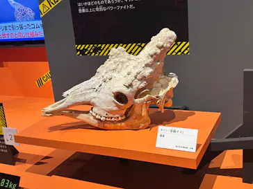 特別展「超危険生物展　科学で挑む生き物の本気」に投稿された画像（2026/6/14）