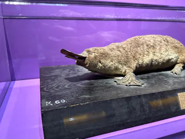 特別展「超危険生物展　科学で挑む生き物の本気」に投稿された画像（2026/6/14）