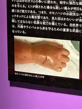 特別展「超危険生物展　科学で挑む生き物の本気」に投稿された画像（2026/6/14）