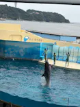 新江ノ島水族館に投稿された画像（2026/6/14）