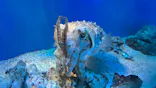 サンシャイン水族館に投稿された画像（2026/6/14）