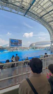 名古屋港水族館に投稿された画像（2026/6/14）