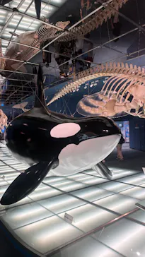 名古屋港水族館に投稿された画像（2026/6/14）