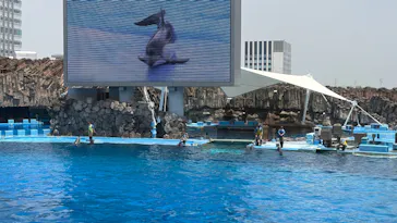 名古屋港水族館に投稿された画像（2026/6/14）