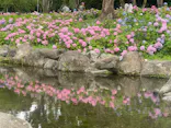 万博記念公園に投稿された画像（2026/6/14）